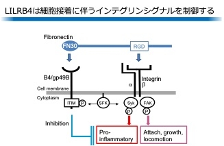 Fig.1