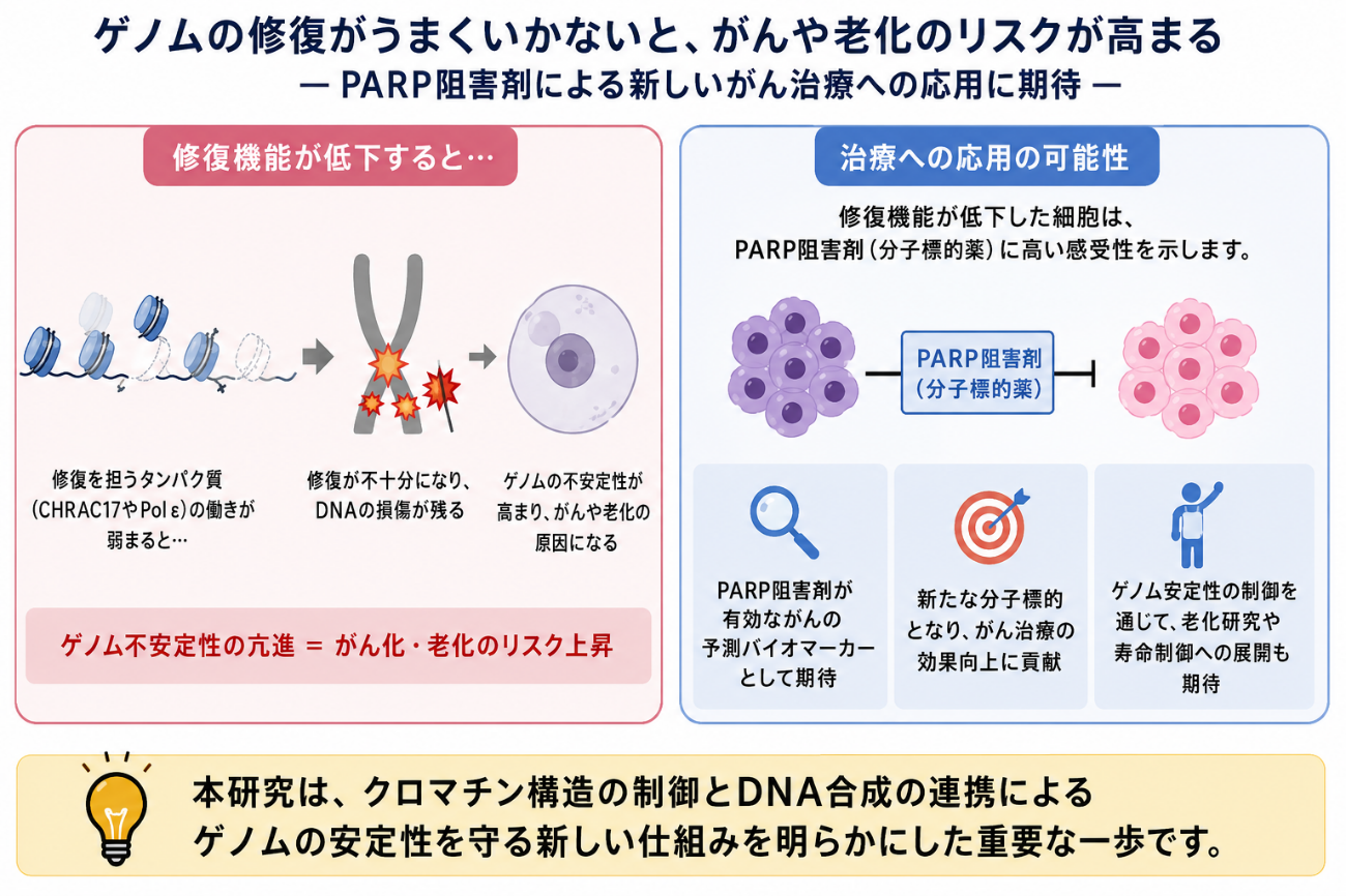 プレスリリース図